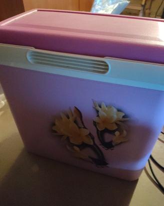 frigorifero portatile 