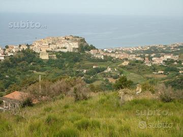 Terreni edificabili e agricoli Belvedere Marittimo