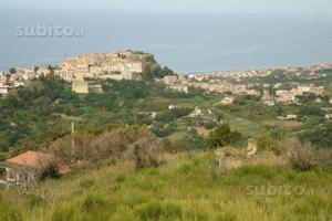 Terreni edificabili e agricoli Belvedere Marittimo