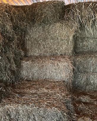 Balle di fieno rettangolare piccole