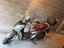 Immagine 1