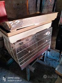 Gabbie per uccellini e criceti