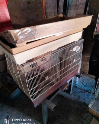 Gabbie per uccellini e criceti