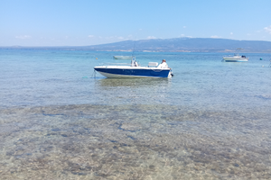 Barca Tulio Abbate 4.50