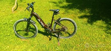 bicicletta elettrica e-bike 