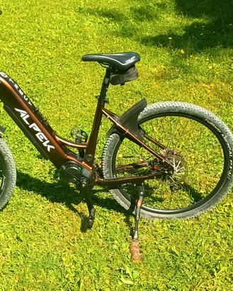 bicicletta elettrica e-bike 