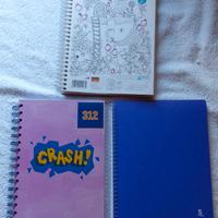 3 quaderni con anelli a righe e quadri- cod 312