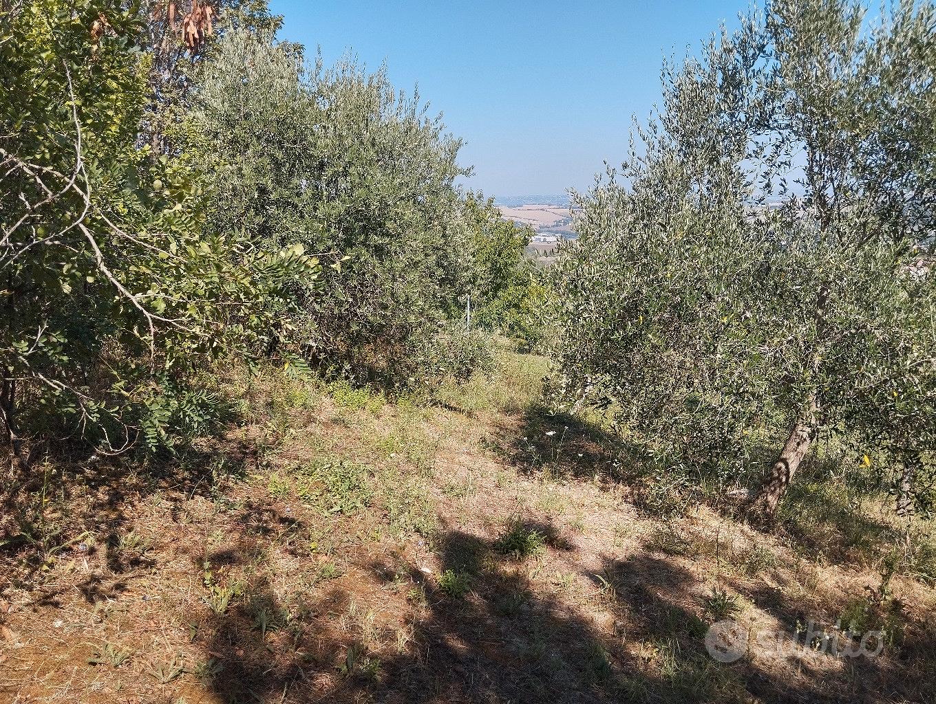 Terreno agricolo panoramico - Vista 5