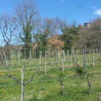 Seminativo a Lugnano in Teverina