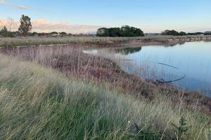 Terreno e salina Zona Nubia-Paceco