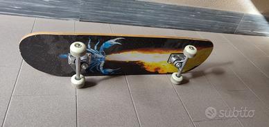 Skateboard