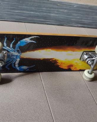 Skateboard