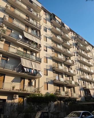 DUE SINGOLE IN APPARTAMENTO CONDIVISO Zona Civico