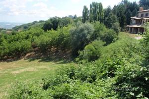 Mondaino Terreno edificabile (eventuale permuta)