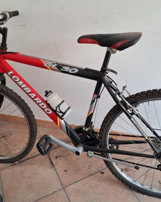 Bicicletta Lombardo 
