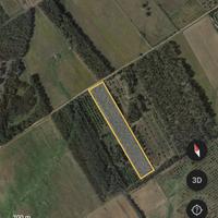 Terreno agricolo con boschetto di eucalipto