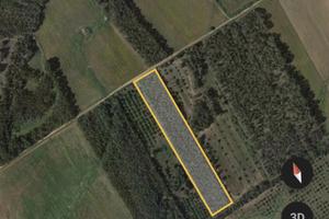 Terreno agricolo con boschetto di eucalipto