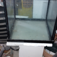 Acquario Cubo per riproduzione Discus
