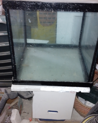 Acquario Cubo per riproduzione Discus