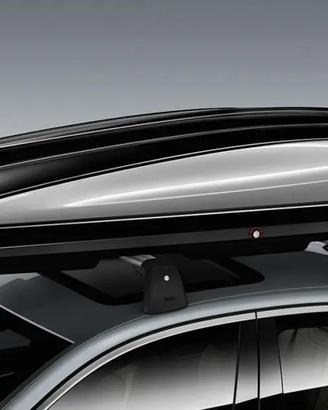 BMW 520 nero e argento  -Box da tetto