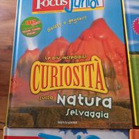 libri  FOCUS