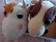 Immagine 1