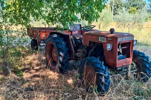 Trattore Carraro 3500