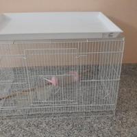 Gabbia 40X40X60 usato 3 giorni 