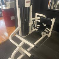 CARL RAISE LIFE FITNESS PALESTRA