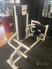 CARL RAISE LIFE FITNESS PALESTRA