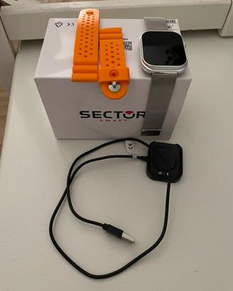 Smartwatch sector