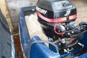 Mercury 15hp 4 tempi