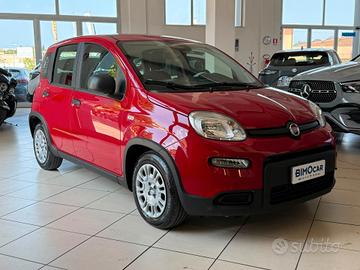 Fiat Panda 1.0 FireFly S&S Hybrid ICON