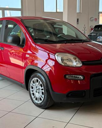 Fiat Panda 1.0 FireFly S&S Hybrid ICON
