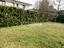 Immagine 20
