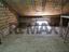 Immagine 28