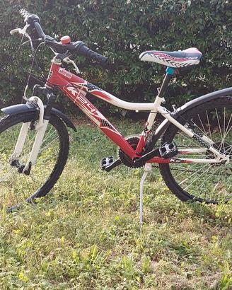 Bicicletta