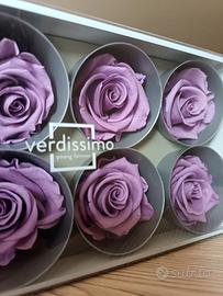 Stock Rose stabilizzate