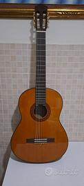 Chitarra Acustica Yamaha C40