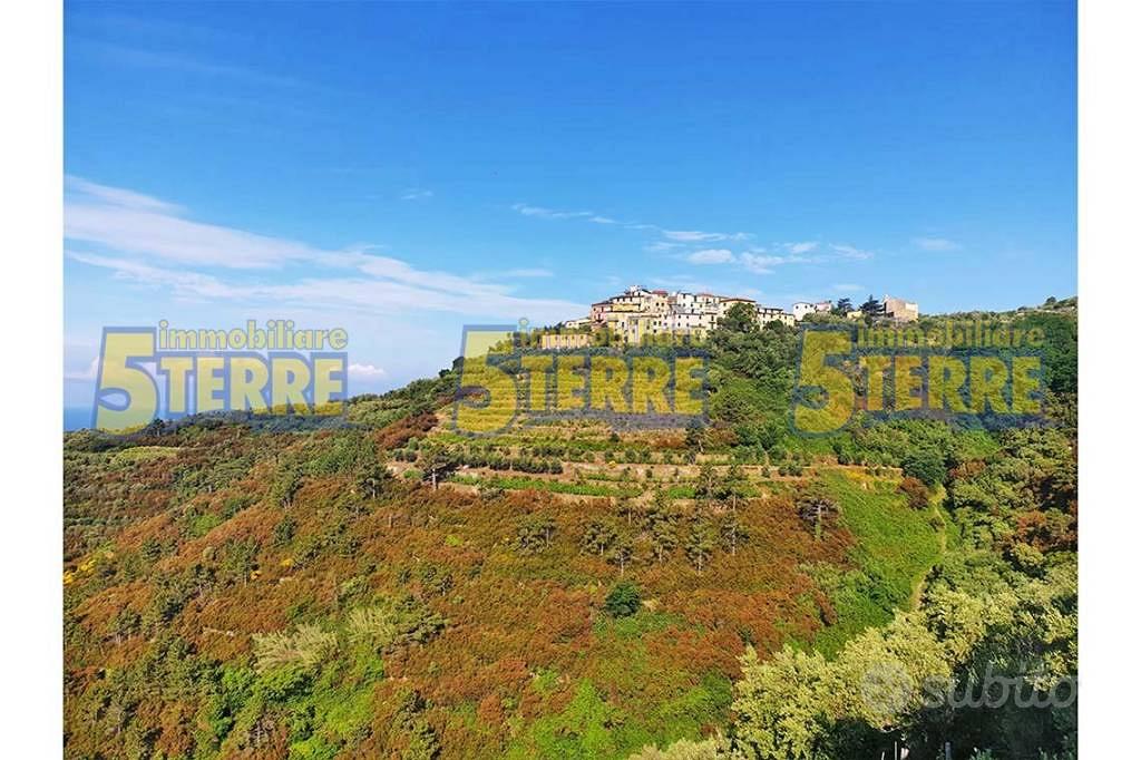 Rustico / Casale di 25 m² con 2 locali a Riomaggio - Altro