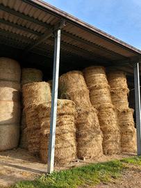 Fieno in rotoballa