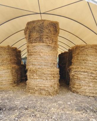 Rotoballe di fieno misto