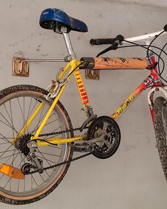 Robusta bici per ragazzi
