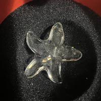 Stella  marina Swarovski