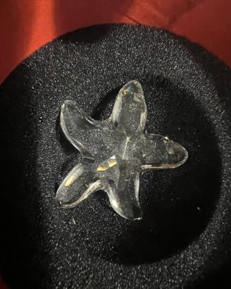 Stella  marina Swarovski