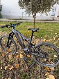 Mtb Flyer in carbonio