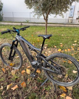 Mtb Flyer in carbonio