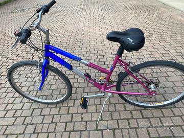 Bicicletta