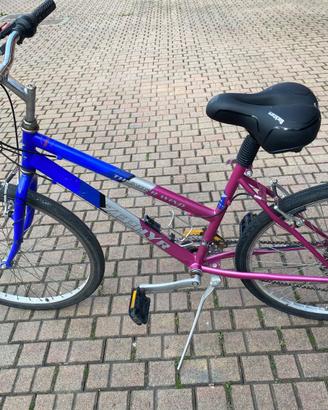 Bicicletta