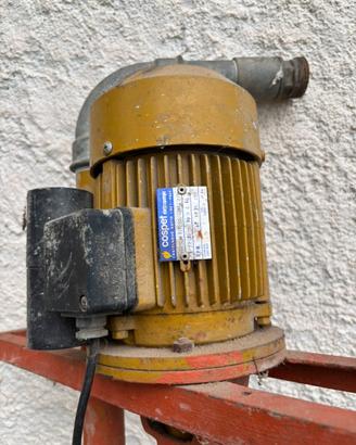 Pompa per acque nere con trituratore